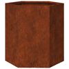 vidaXL Fioriere da Giardino 2 pz Esagono 46x40x45 cm in acciaio corten