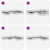vidaXL Set di divani da esterno 10 pcs Naturale
