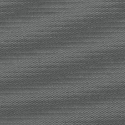 vidaXL Tenda da Sole Laterale Retrattile Antracite 220x1000 cm