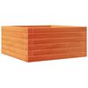 vidaXL Fioriera Giardino Marrone Cera 50x50x23 cm Legno Massello Pino