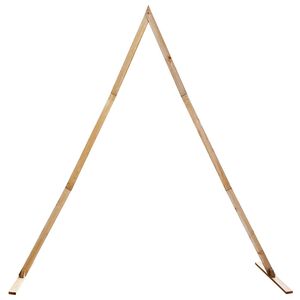 vidaXL Arco Nuziale Marrone Chiaro 202 x 95 x 254 cm