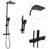 vidaXL Set Soffione Doccia Duale con Miscelatore e Tubo Ottone Nero