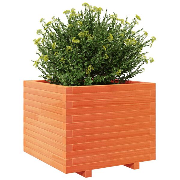 vidaXL Fioriera Giardino Marrone Cera 60x60x49,5cm Legno Massello Pino