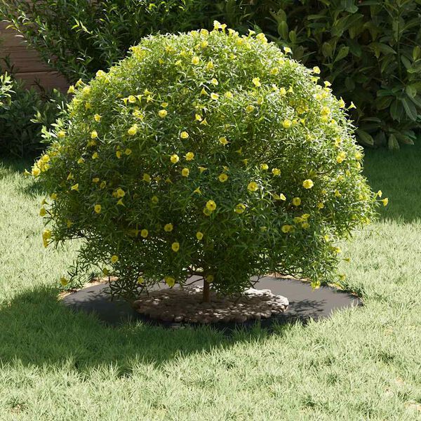 vidaXL adatto per Anello d'Albero Piatto Nero Ø30 / 60 cm Acciaio