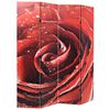 vidaXL Paravento Pieghevole 160x170 cm Stampa Rosa Rossa