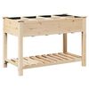 vidaXL Vaso da giardino Beige 115 x 59 x 76,5 cm