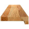 vidaXL Davanzali 2 pz Marrone Chiaro 100x15x2 cm Legno Massello Rovere