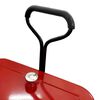 AXI Refrigeratore Carretto da Spiaggia 76 L Rosso