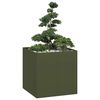 Olive_green