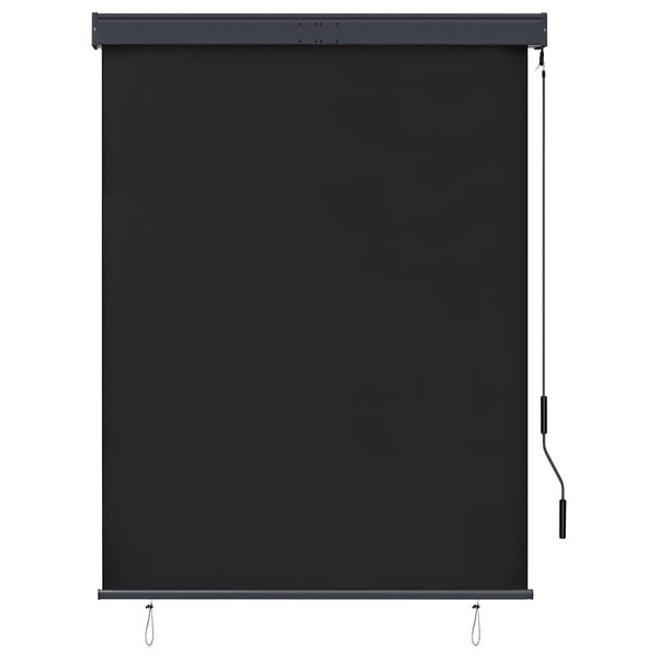 vidaXL Tenda a Rullo per Esterni 120x250 cm Antracite