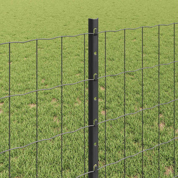 Visualizzazione immagine prodotto 4 di 13