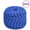 vidaXL Corda per barca Blu 10 mm 100 m in Polipropilene