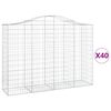 vidaXL Cesti Gabbioni ad Arco 40 pz 200x50x140/160 cm Ferro Zincato
