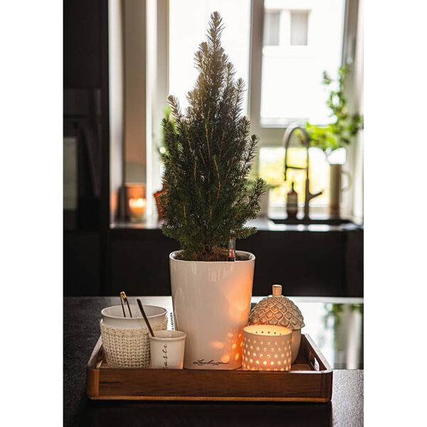 LECHUZA Fioriera DELTINI ALL-IN-ONE Bianco Lucido