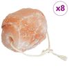 vidaXL Pietre di Sale da Leccare 8 pz Rosa Sale Rock
