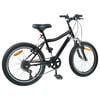vidaXL Bicicletta per Bambini 20 Pollici 6-Speed