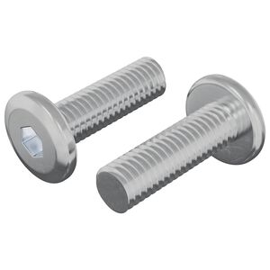 vidaXL Vite 2 pcs Argento 8 x 25 mm Acciaio