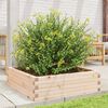 vidaXL Fioriera da Giardino 80x80x23 cm in Legno Massello di Pino