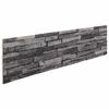 vidaXL Pannelli da parete 10 pz 100 x 25 cm Antracite Schiuma EPS