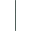 vidaXL Membrana Antierbacce Verde 4x50 m in PP