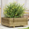 vidaXL Fioriera da Giardino 60x60x26,5 cm in Legno di Pino Impregnato