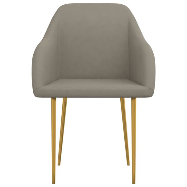 vidaXL Sedie da Pranzo 2 pz Grigio Chiaro in Velluto