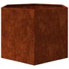 vidaXL Fioriera Ruggine 60x60x45 cm Acciaio Corten