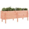 vidaXL Fioriera Rialzata Giardino 160x50x57 cm Legno Massello Douglas