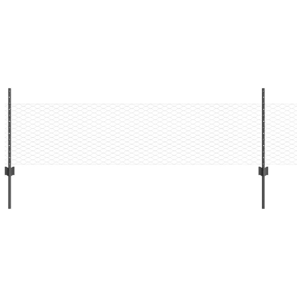 Visualizzazione immagine prodotto 1 di 11