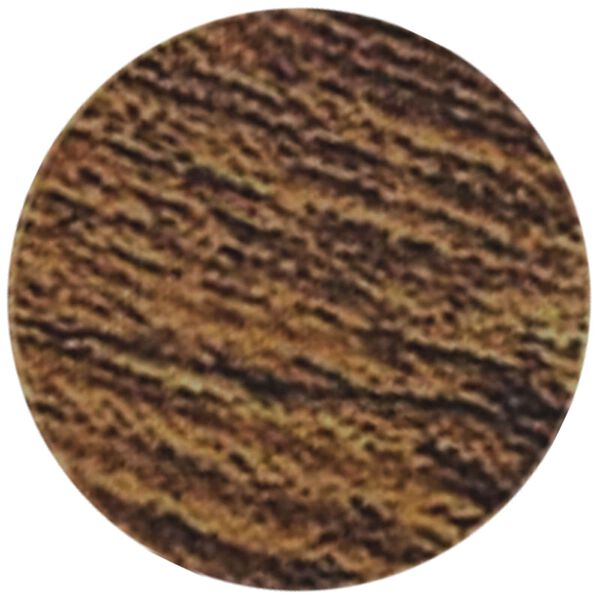 vidaXL Copertura Vite Adesiva 12 pcs Rovere fum&eacute; &Oslash; 20 x 0,5 mm