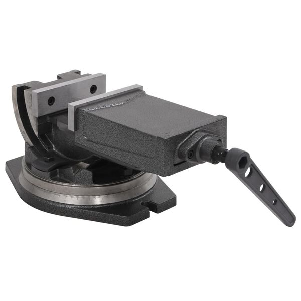 vidaXL Morsa Inclinabile a 2 Assi 160 mm