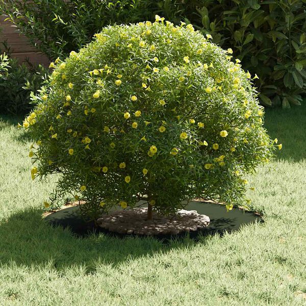 vidaXL adatto per Anello d'Albero Piatto Oliver verde &Oslash;30 / 60 cm