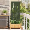 vidaXL Schermo per privacy in giardino Oliver verde 50 x 140 cm