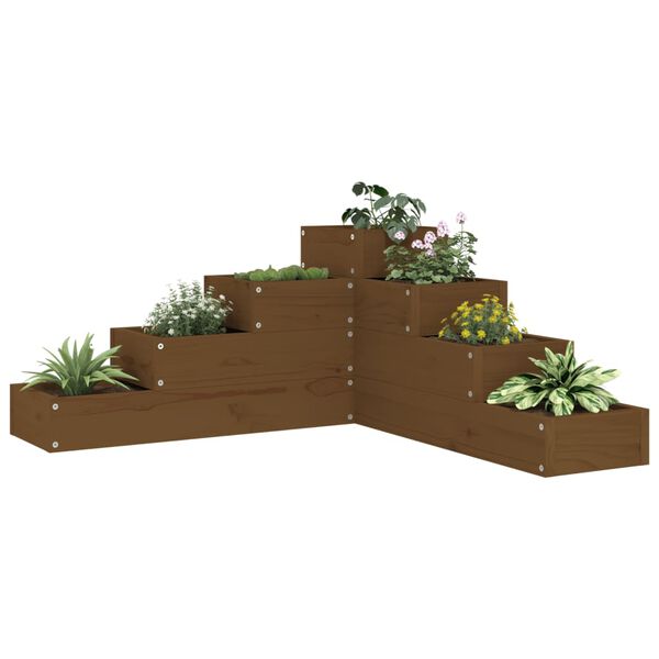 vidaXL Fioriera da Giardino 4 Ripiani Ambra 80,5x79x36cm Massello Pino