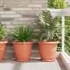 Immagine miniatura del prodotto 2 di 12