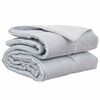 vidaXL Piumone Completo Annuale 200 x 200 cm 300 gsm Argento