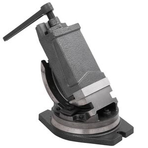 vidaXL Morsa Inclinabile a 2 Assi 100 mm