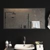 vidaXL Specchio da Bagno con Luci LED 100x50 cm
