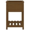 vidaXL Fioriera con Mensola Ambra 54x54x81cm in Legno Massello di Pino