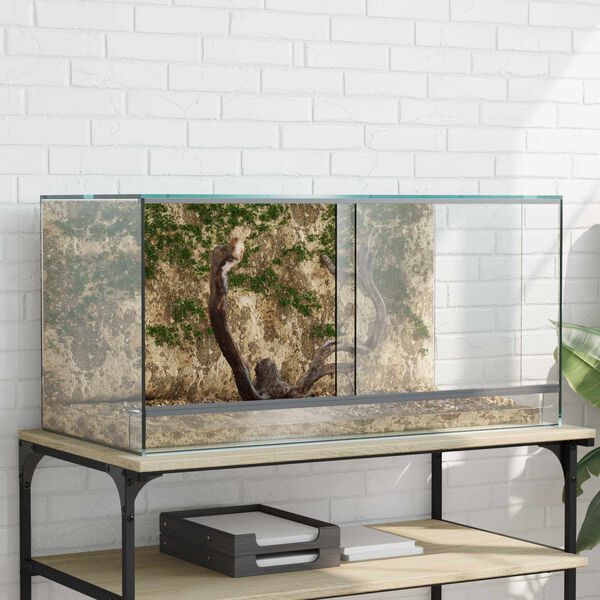 vidaXL Terrario con archiviazione Trasparente 80 x 40 x 40 cm Vetro