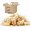 vidaXL Accendifuoco BIO 10 kg