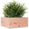 vidaXL Fioriera da Giardino 50x50x23 cm in Legno Massello di Douglas