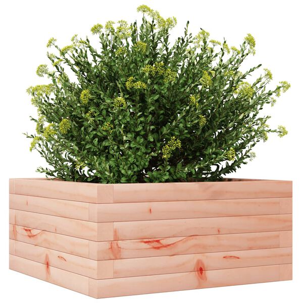 vidaXL Fioriera da Giardino 50x50x23 cm in Legno Massello di Douglas