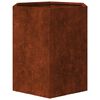 vidaXL Fioriere da Giardino 2 pz Esagono 46x40x45 cm in acciaio corten