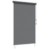 vidaXL Tenda a rullo Grigio Chiaro 120 x 250 cm Tessuto e Alluminio