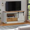 vidaXL Mobile Porta TV HALDEN con Anta Scorrevole Bianco 110x40x60 cm