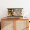 vidaXL Terrario con archiviazione Trasparente 50 x 30 x 30 cm Vetro