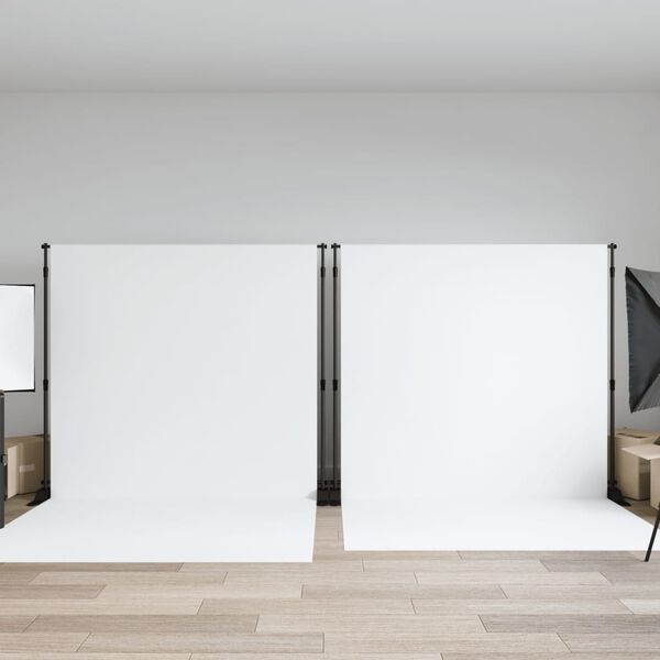 vidaXL Supporti per Fondali 2 pz Neri 305x243 cm in Acciaio