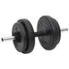 vidaXL Set Bilanciere e Manubri con Dischi 60 kg
