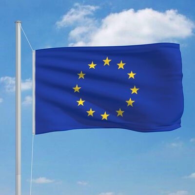 vidaXL Bandiera dell'Europa con Pennone in Alluminio 6,2 m